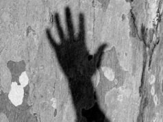 印度人民黨領導人在市議會選舉中自殺未遂引發爭議