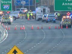 維吉尼亞州街頭槍擊事件 刺傷 I-495 公路殺人