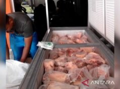 JAPPDI 要求政府在開齋節前監控水牛肉價格