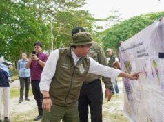 林業部長確保廖內大像走廊將立即連接