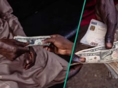 美伊緊張局勢擾亂全球市場,美元攀升至五周高點