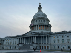 「談論反對派」和 SAVE 法案的搭便車指南