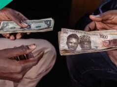 CBN、GTBank 證實奈拉兌美元匯率下跌,匯率放緩