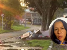 犯罪分子利用潛在危險品種的狗在自行車道上偷竊 – Publimetro Columbia