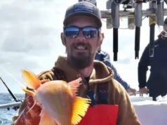 托德·梅多斯 (Todd Meadows) 在拍攝海上致命漁獲時墜入海中