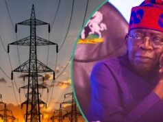 FG、GenCos 繼續就電力債務數字存在分歧,尼日利亞人將面臨停電