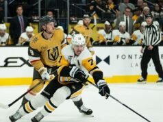 金騎士隊需要一個成功的主場,從企鵝隊開始