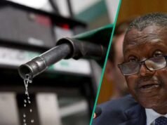 丹格特N100汽油價格上漲,加油站調整泵