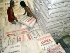 農業副部長表示,由於伊朗與美國的戰爭,許多國家希望進口印尼尿素。