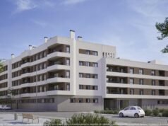 Freedom 7 在「關鍵策略執行年」後公佈業績