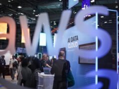 尋找歐洲的數位政府,作者:Elisenda Vallejo