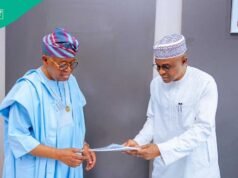 NPA報告:尼日利亞港口創紀錄成長 出口主導貿易擴大