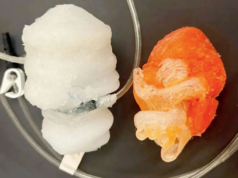 先進的 3D 列印心臟可以改善心臟外科醫生的培訓