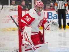 紅翼隊約翰·吉布森在戰勝魔鬼隊的比賽中受傷