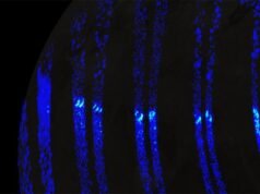 美國太空總署太空船發現木星巨衛星木衛三上的極光看起來像地球的北極光