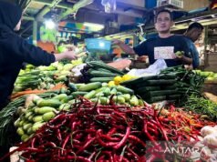 週二上午,青蔥價格為 47,650 印尼盾/公斤,紅辣椒價格為 68,550 印尼盾/公斤。