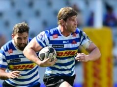 Dobbo:WP的死亡是不可避免的