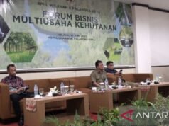 RI 在維也納全球高峰會上提出了多林業商業理念