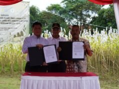 PTDI 將 Jatigede Sumedang 的土地改造成賭博中心