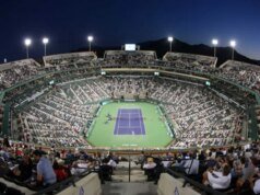 印第安維爾斯裁判在猛烈抨擊破壞性 VIP 包廂的質問者後叫停了比賽