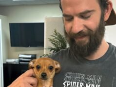 訴訟:Google雙子座派人執行暴力任務,他「倒數計時」自殺