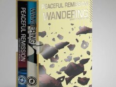 一位《拾荒王朝》藝術家在新漫畫中探索深思熟慮的科幻小說