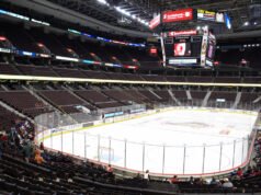 DJ史密斯接任洛杉磯國王隊臨時主教練