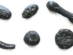 巴西 600 萬年前隕石撞擊中發現稀有玻璃,但隕石坑仍下落不明