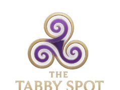 The Tabby Spot 透過社論提升生活風格電子商務