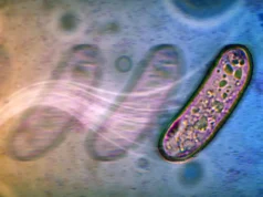 細菌在沒有風扇的情況下傳播的驚人新方式