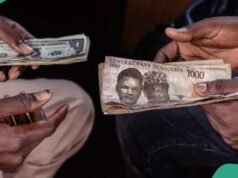 N1,378 / 1 美元:奈拉在外匯兌美元匯率下跌