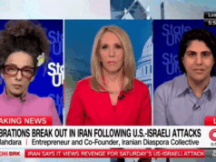 伊朗裔美國支持者莫吉·馬德拉 (Moj Mahdara) 將伊朗的反應歸咎於民主黨