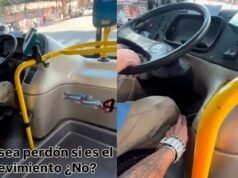 公車司機的“秘密武器”曝光,視頻瘋傳:“我可以嘗試嗎?”