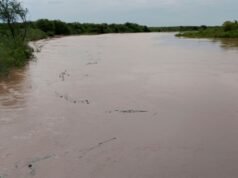 92 號公路 Saladillo del Rosario 橋高處禁止交通擁堵