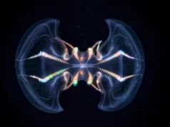 這種古老的海洋生物可能實際上有大腦