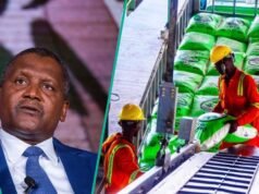 伊朗產量下降,丹格特化肥成為主要供應商 中東戰爭