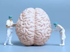 加拿大神經科學家解釋了當壓力變成慢性時大腦會發生什麼