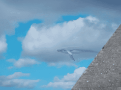 一部近乎完美的科幻驚悚片,介紹了陌生的新世界