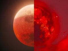 以下是《薩爾達傳說》關於血月的正確(和錯誤)說法