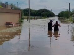 他們在首都南部地區疏散房屋並救出寵物