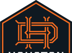 九人陣容的休士頓迪納摩隊主場 2-0 不敵洛杉磯FC