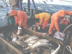 戰爭和風暴導致巴西菜餚價格上漲