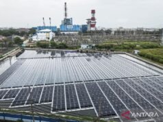 政府加速使用 NRE 以減少化石能源