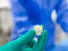 印度製造的革命性瓣膜置換系統進入臨床前試驗,ETHealthworld