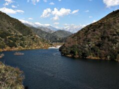 救援人員稱,這名母親是在洛杉磯國家森林的一條小路上溺水身亡的。