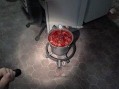 生化危機安魂曲的血管讓我餓了