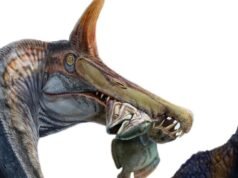 沙漠中發現類似犀牛的棘龍