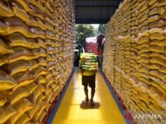 農業部長:米庫存達4000萬噸 安全到年底