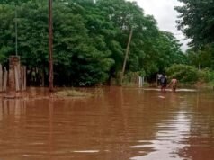 由於風暴,克馬多山仍處於緊急狀態,他們要求極端的預防措施