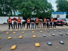 他們在圖庫曼查獲了 200 多公斤大麻並逮捕了六人